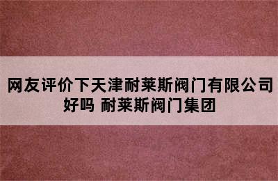 网友评价下天津耐莱斯阀门有限公司好吗 耐莱斯阀门集团